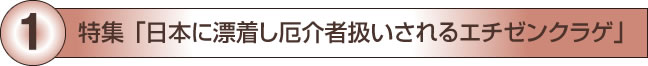 1. 特集「日本に漂着し厄介者扱いされるエチゼンクラゲ」